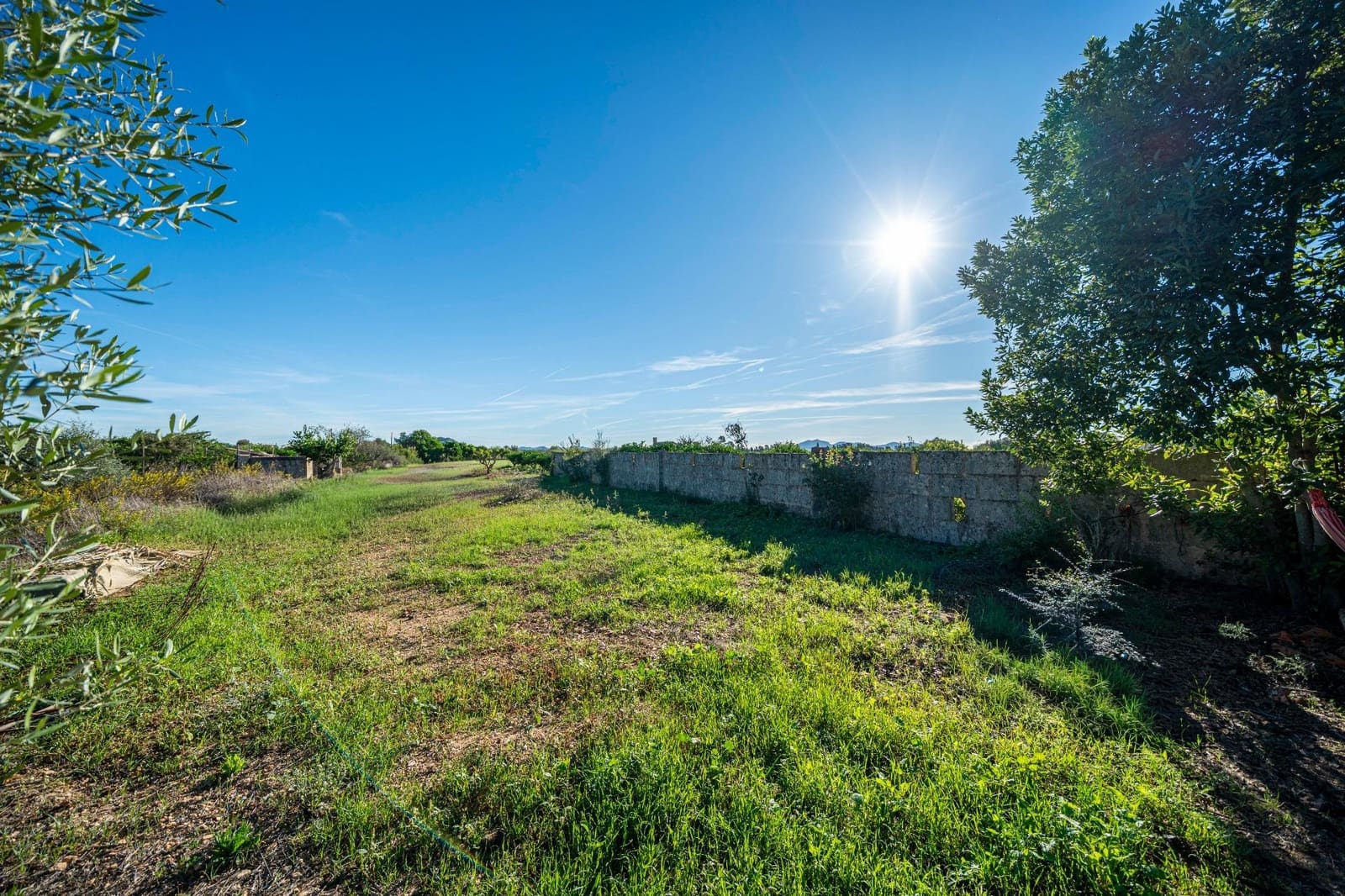 Finca/Casa Rural de 1 habitación en Porreres en venta - 99.000 € (Ref: 10161637)
