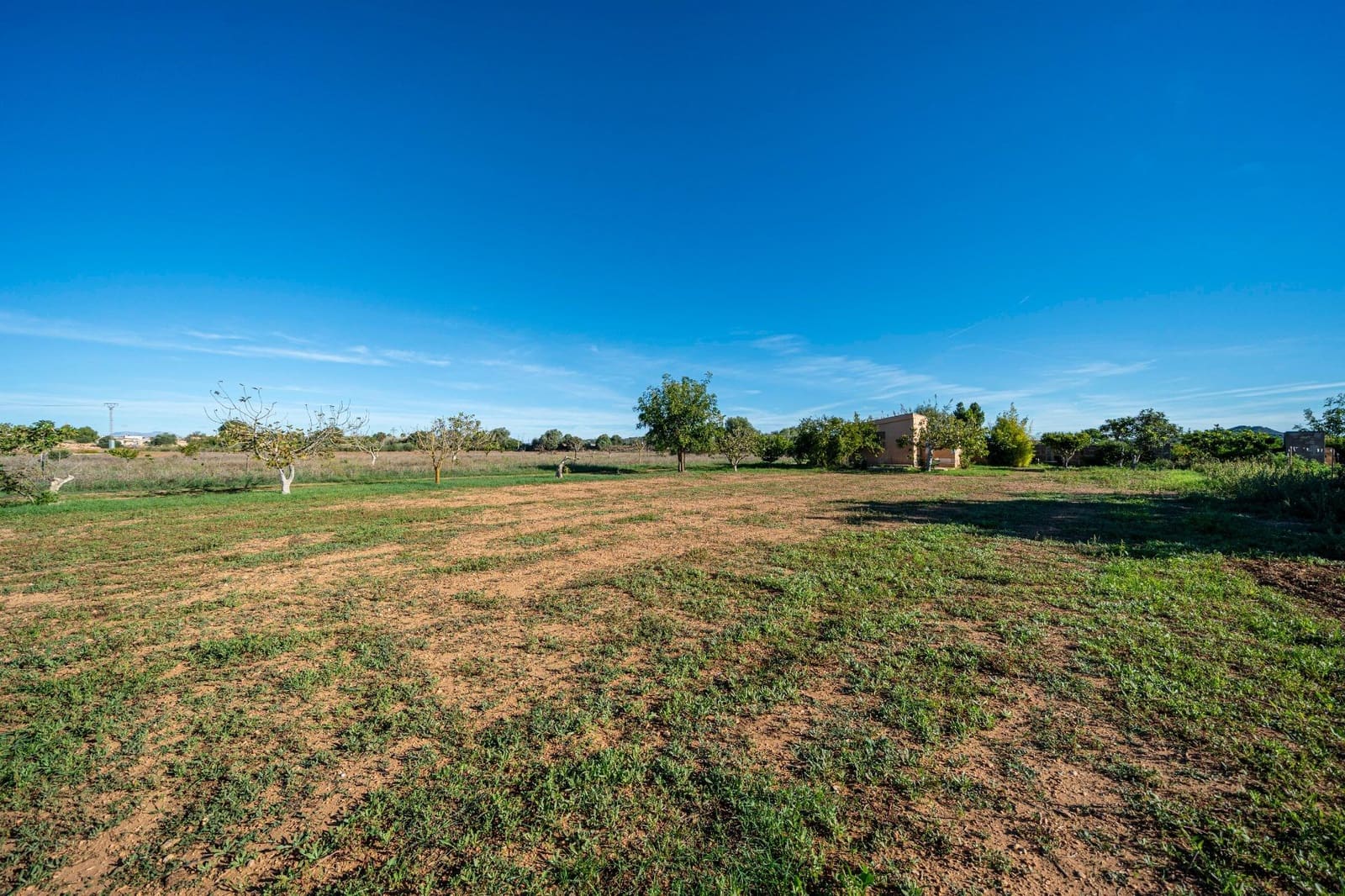 Finca/Casa Rural de 1 habitación en Porreres en venta - 99.000 € (Ref: 10161637)