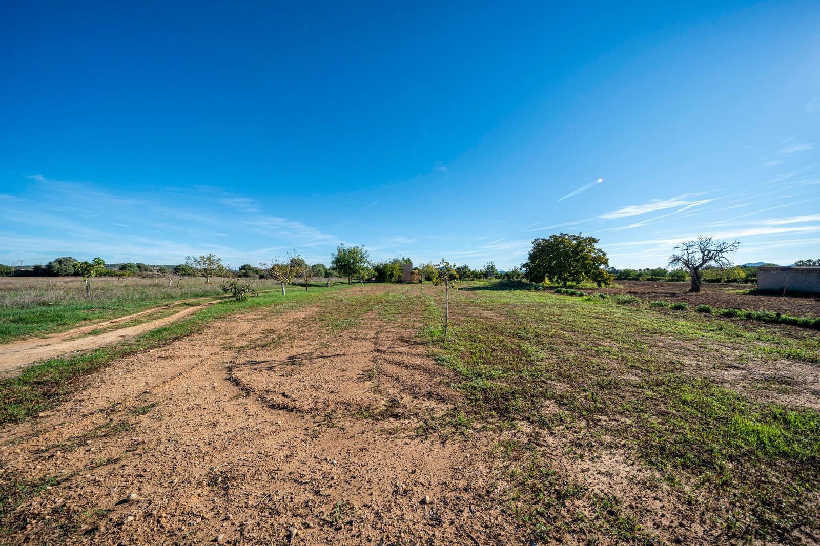 Finca/Casa Rural de 1 habitación en Porreres en venta - 99.000 € (Ref: 10161637)