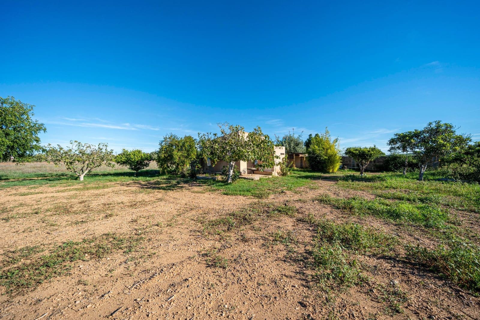 Finca/Casa Rural de 1 habitación en Porreres en venta - 99.000 € (Ref: 10161637)