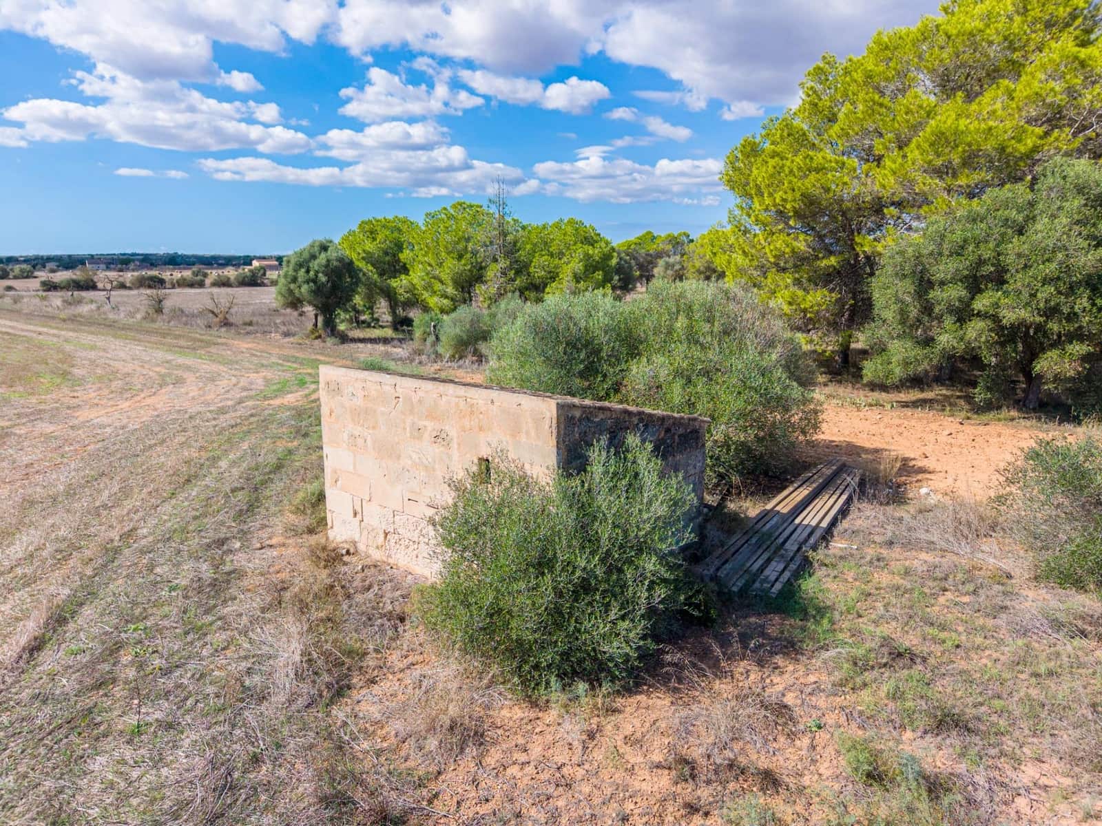 Bouwgrond te koop in Campos - € 349.000 (Ref: 10161639)