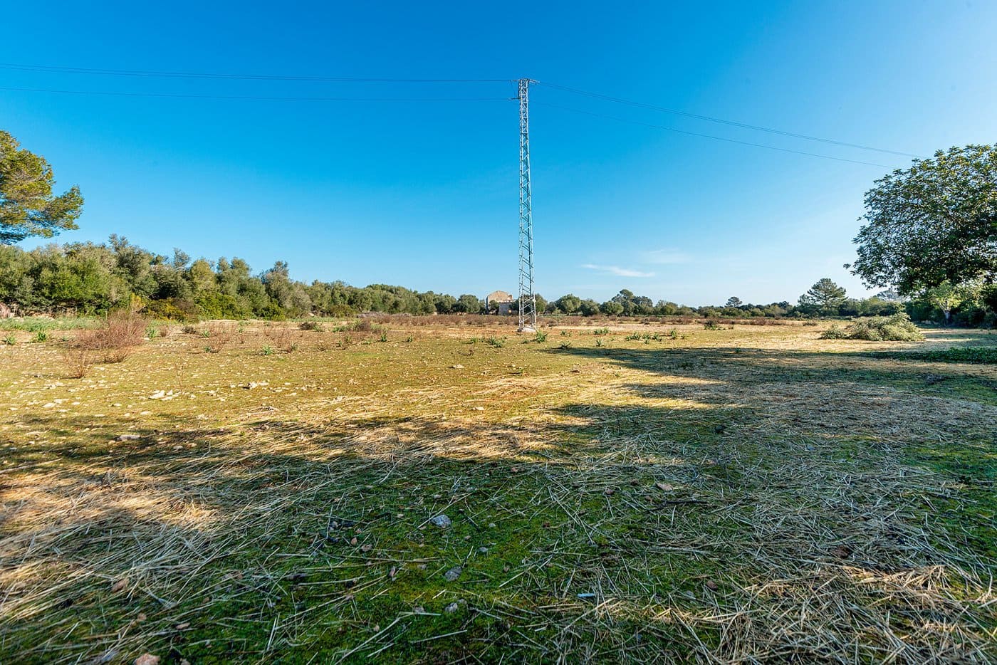 Finca/Landehus til salg i Inca - € 850.000 (Ref: 7638007)