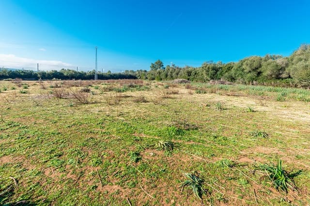 Finca/Landehus til salg i Inca - € 850.000 (Ref: 7638007)