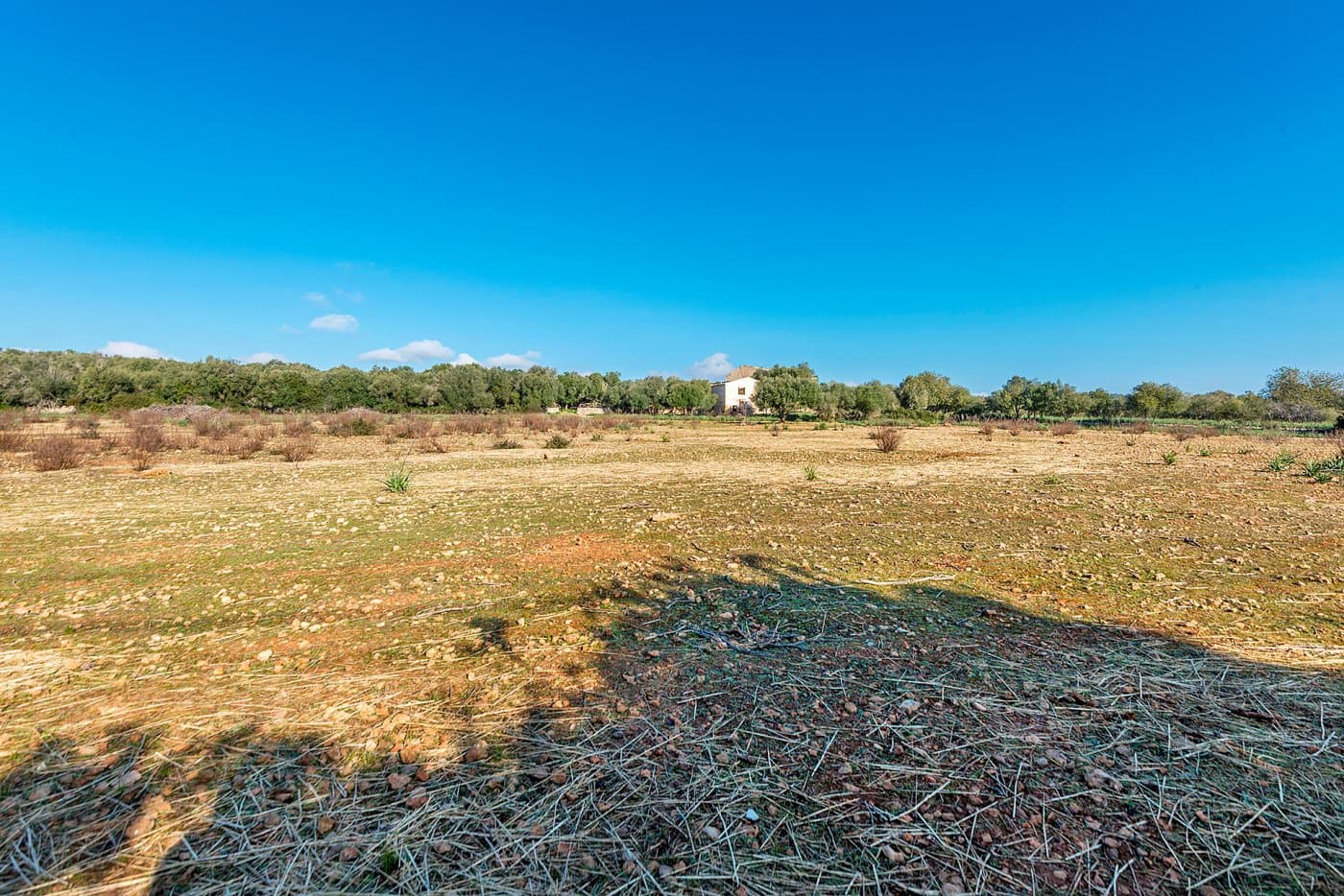 Finca/Landehus til salg i Inca - € 850.000 (Ref: 7638007)