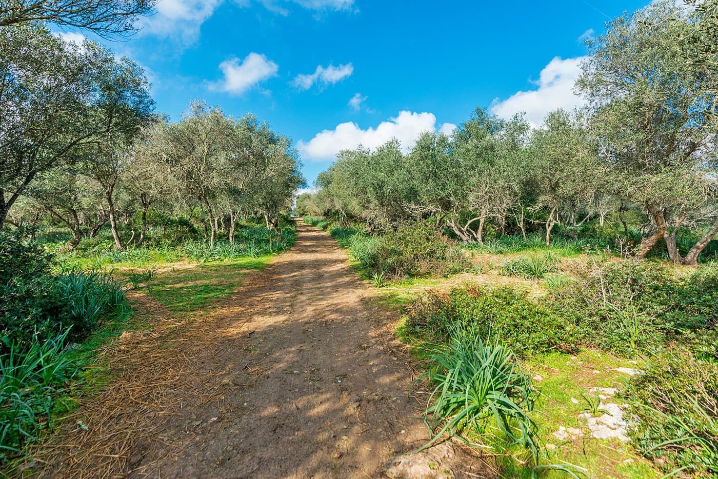 Finca/Landehus til salg i Inca - € 850.000 (Ref: 7638007)