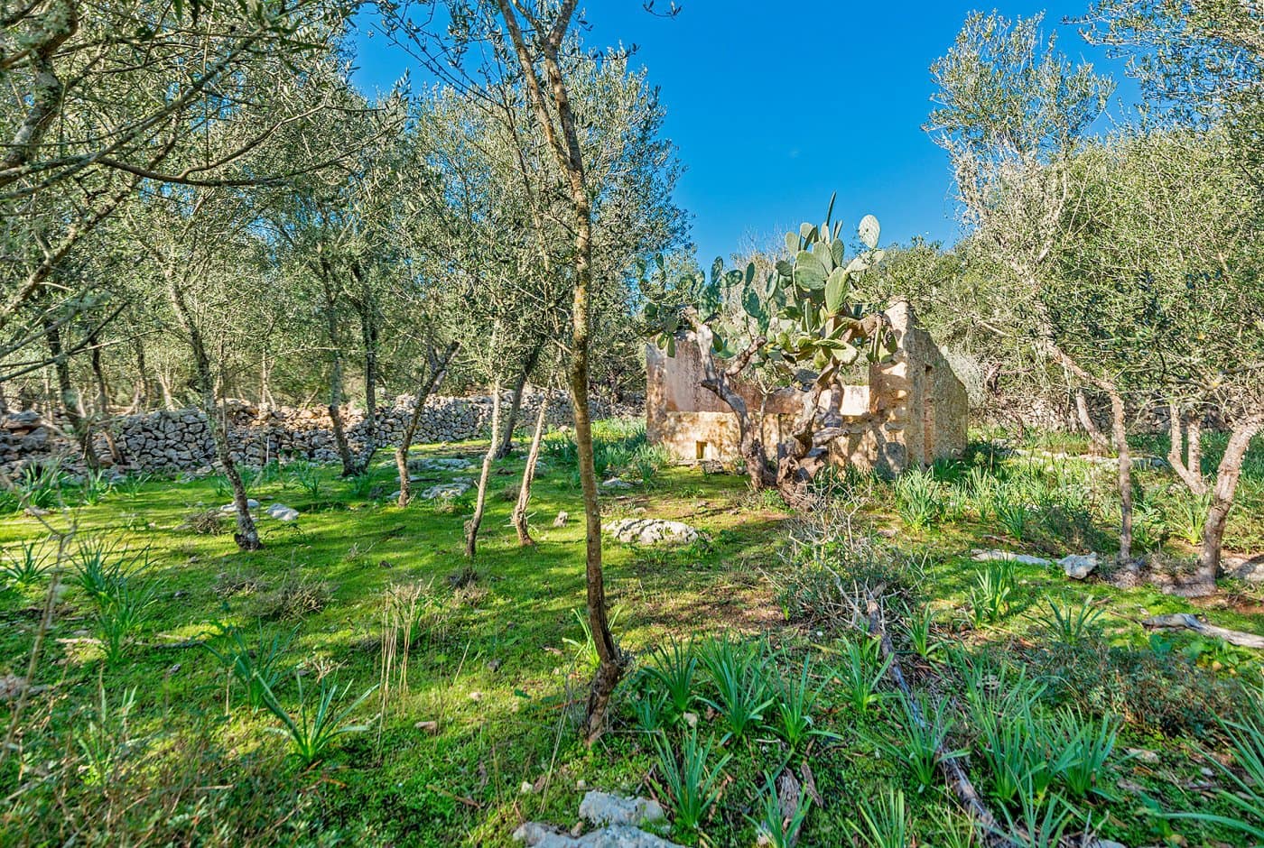 Finca/Landehus til salg i Inca - € 850.000 (Ref: 7638007)