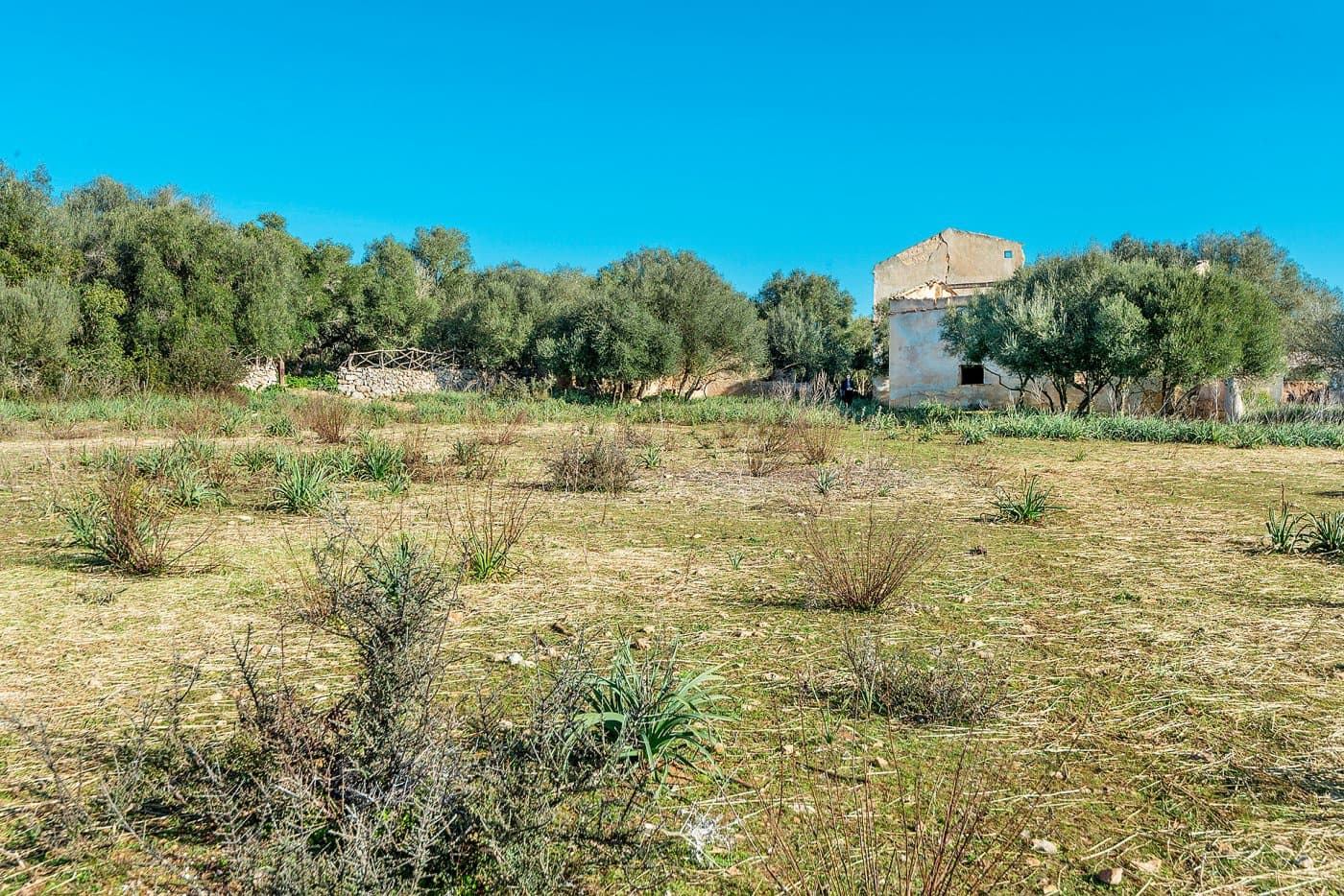 Finca/Landehus til salg i Inca - € 850.000 (Ref: 7638007)