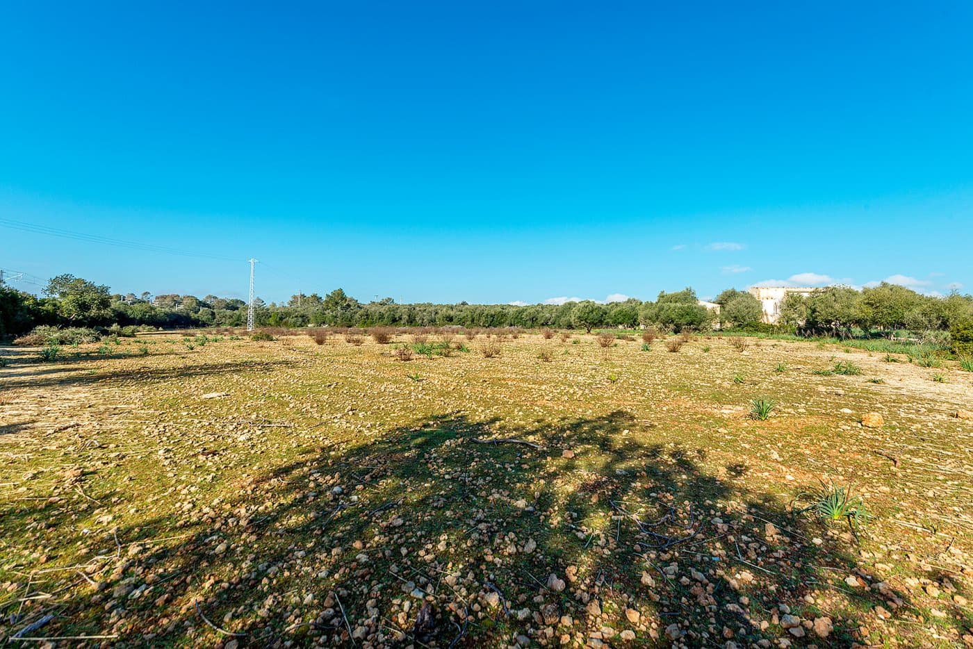 Finca/Landehus til salg i Inca - € 850.000 (Ref: 7638007)