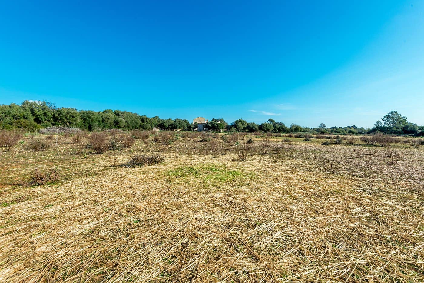 Finca/Landehus til salg i Inca - € 850.000 (Ref: 7638007)