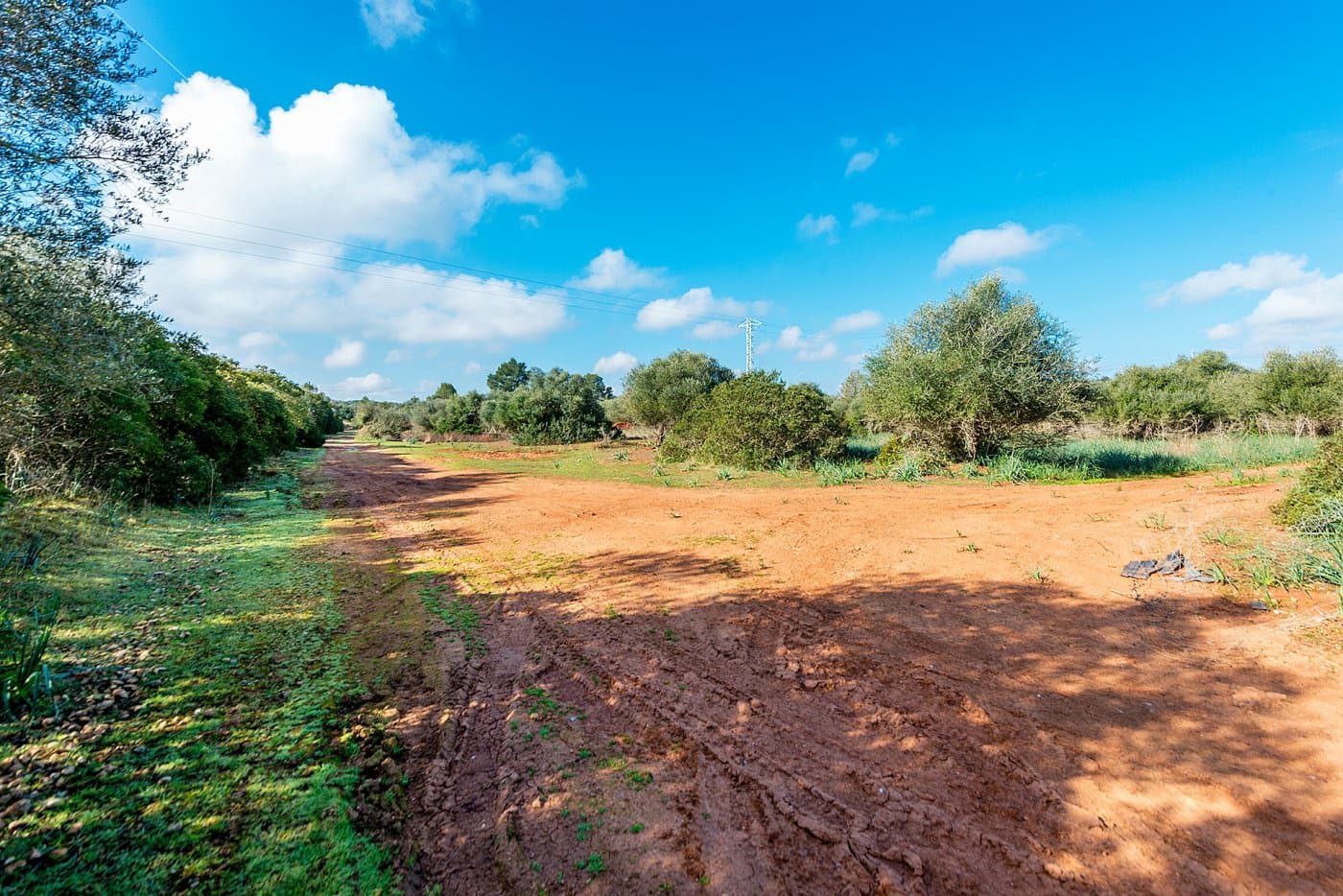 Finca/Landehus til salg i Inca - € 850.000 (Ref: 7638007)