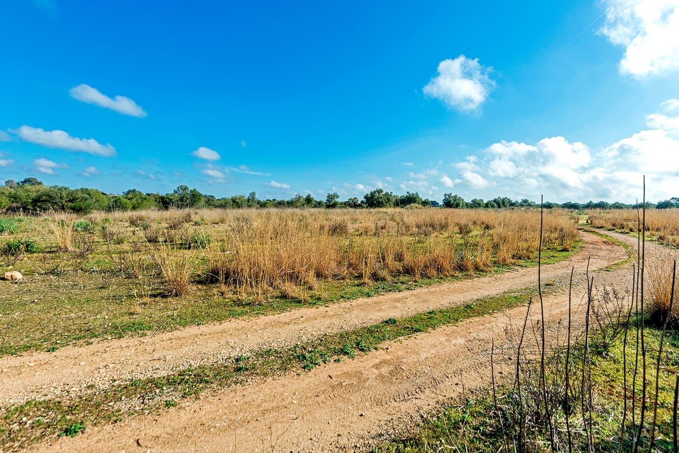 Finca/Landehus til salg i Inca - € 850.000 (Ref: 7638007)