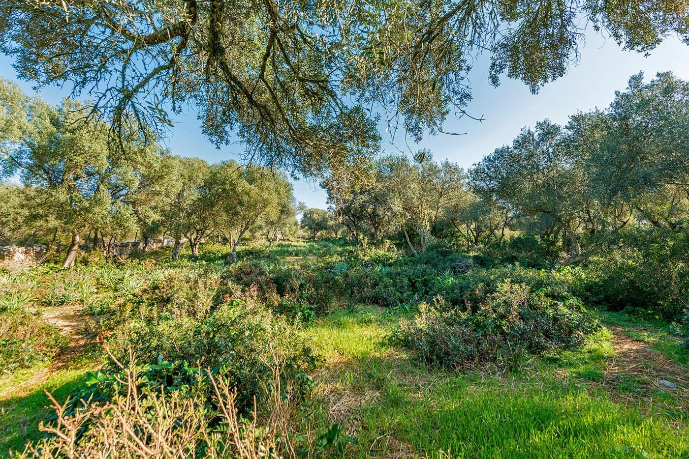 Finca/Landehus til salg i Inca - € 850.000 (Ref: 7638007)