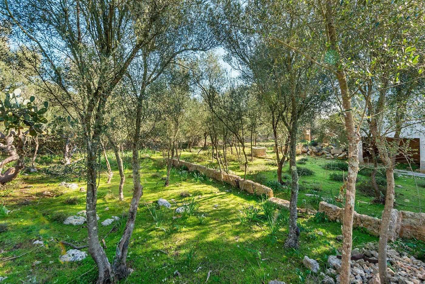 Finca/Landehus til salg i Inca - € 850.000 (Ref: 7638007)