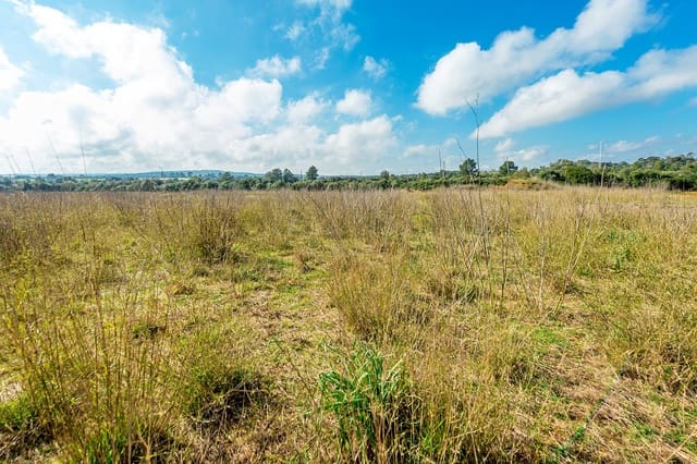 Finca/Landehus til salg i Inca - € 850.000 (Ref: 7638007)