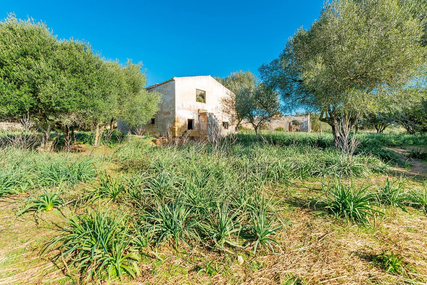 Finca/Landehus til salg i Inca - € 850.000 (Ref: 7638007)