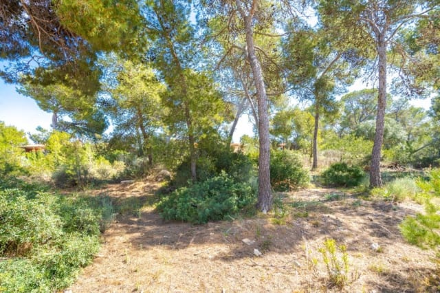Villa til salg i Cala Vinyes / Cala Vinyas / Cala Viñas, Calvià - € 2.300.000 (Ref: 7638051)