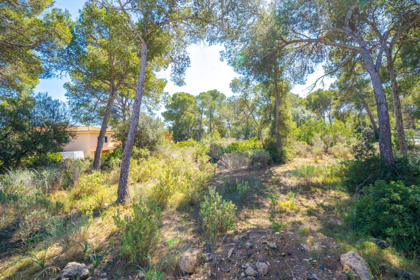 Huvila myytävänä paikassa Cala Vinyes / Cala Vinyas / Cala Vinas - 2 300 000 € (Ref: 7638051)