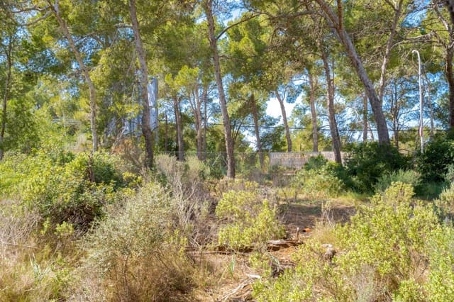 Villa til salg i Cala Vinyes / Cala Vinyas / Cala Viñas, Calvià - € 2.300.000 (Ref: 7638051)