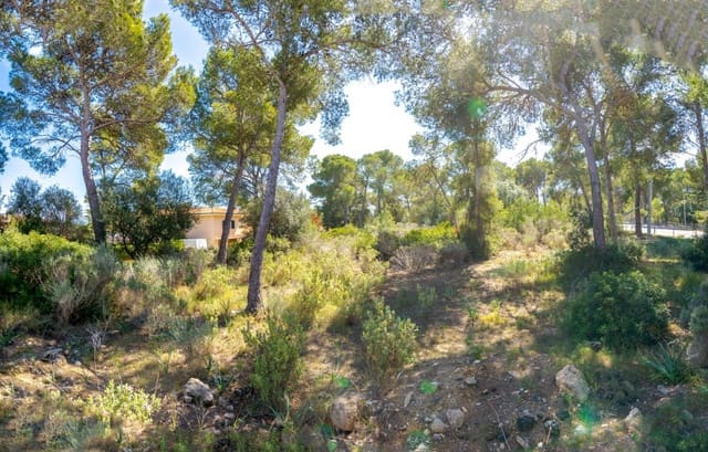 Villa til salg i Cala Vinyes / Cala Vinyas / Cala Viñas, Calvià - € 2.300.000 (Ref: 7638051)