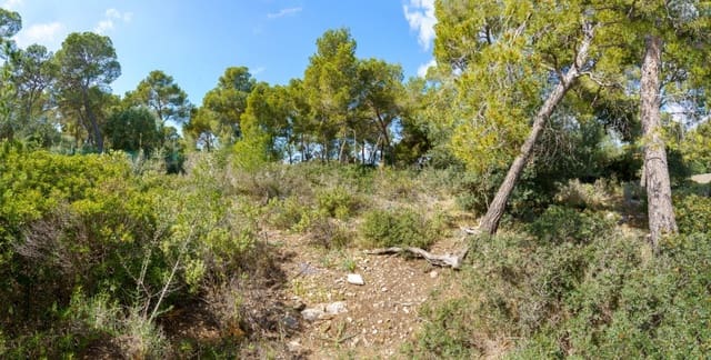 Villa til salg i Cala Vinyes / Cala Vinyas / Cala Viñas, Calvià - € 2.300.000 (Ref: 7638051)