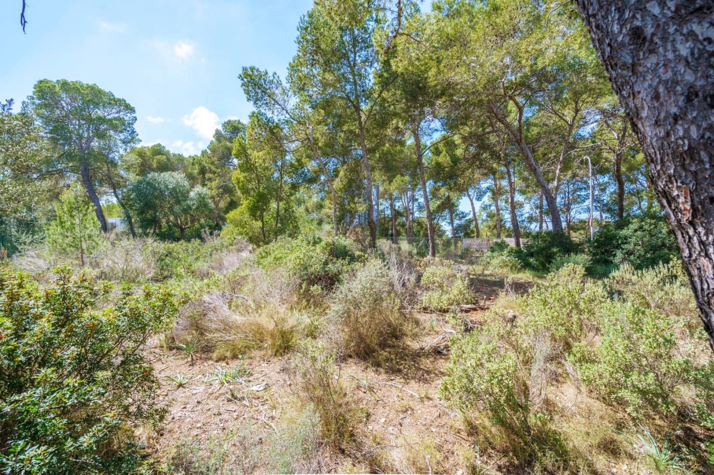 Huvila myytävänä paikassa Cala Vinyes / Cala Vinyas / Cala Vinas - 2 300 000 € (Ref: 7638051)