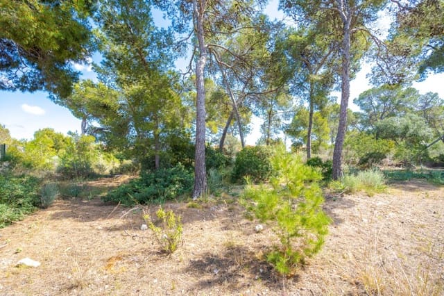 Villa til salg i Cala Vinyes / Cala Vinyas / Cala Viñas, Calvià - € 2.300.000 (Ref: 7638051)