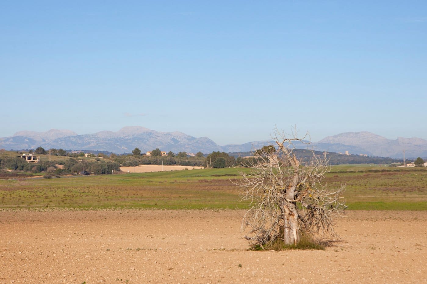 4 soverom Finca/Herregård til salgs i Ariany med svømmebasseng garasje - € 1 900 000 (Ref: 7638067)