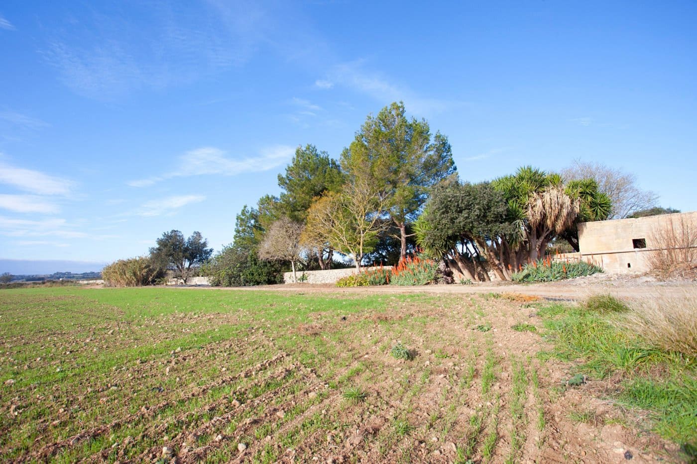 4 soverom Finca/Herregård til salgs i Ariany med svømmebasseng garasje - € 1 900 000 (Ref: 7638067)