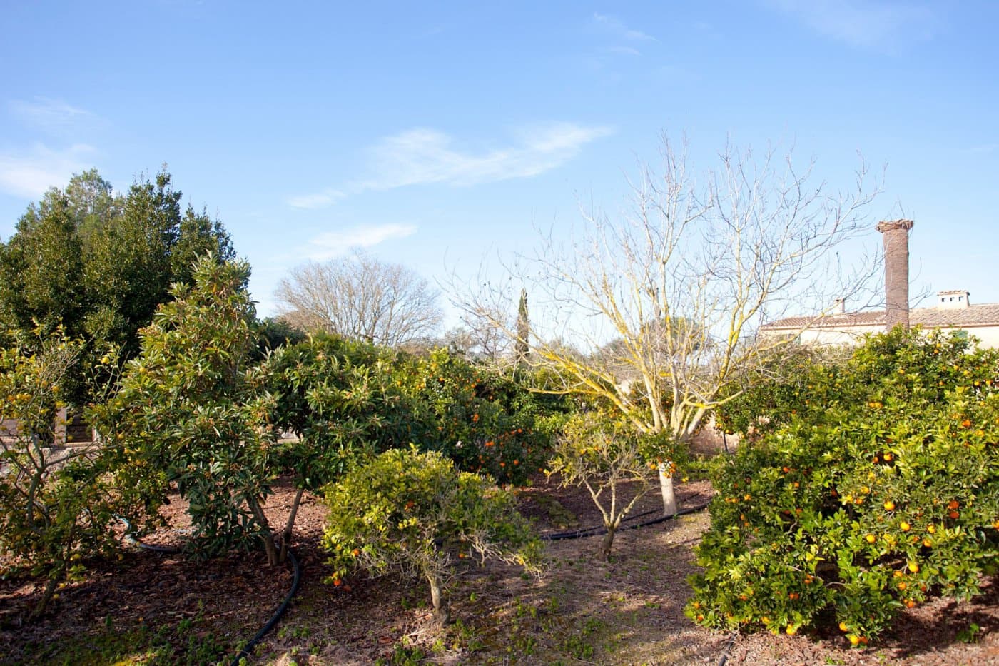 4 soverom Finca/Herregård til salgs i Ariany med svømmebasseng garasje - € 1 900 000 (Ref: 7638067)