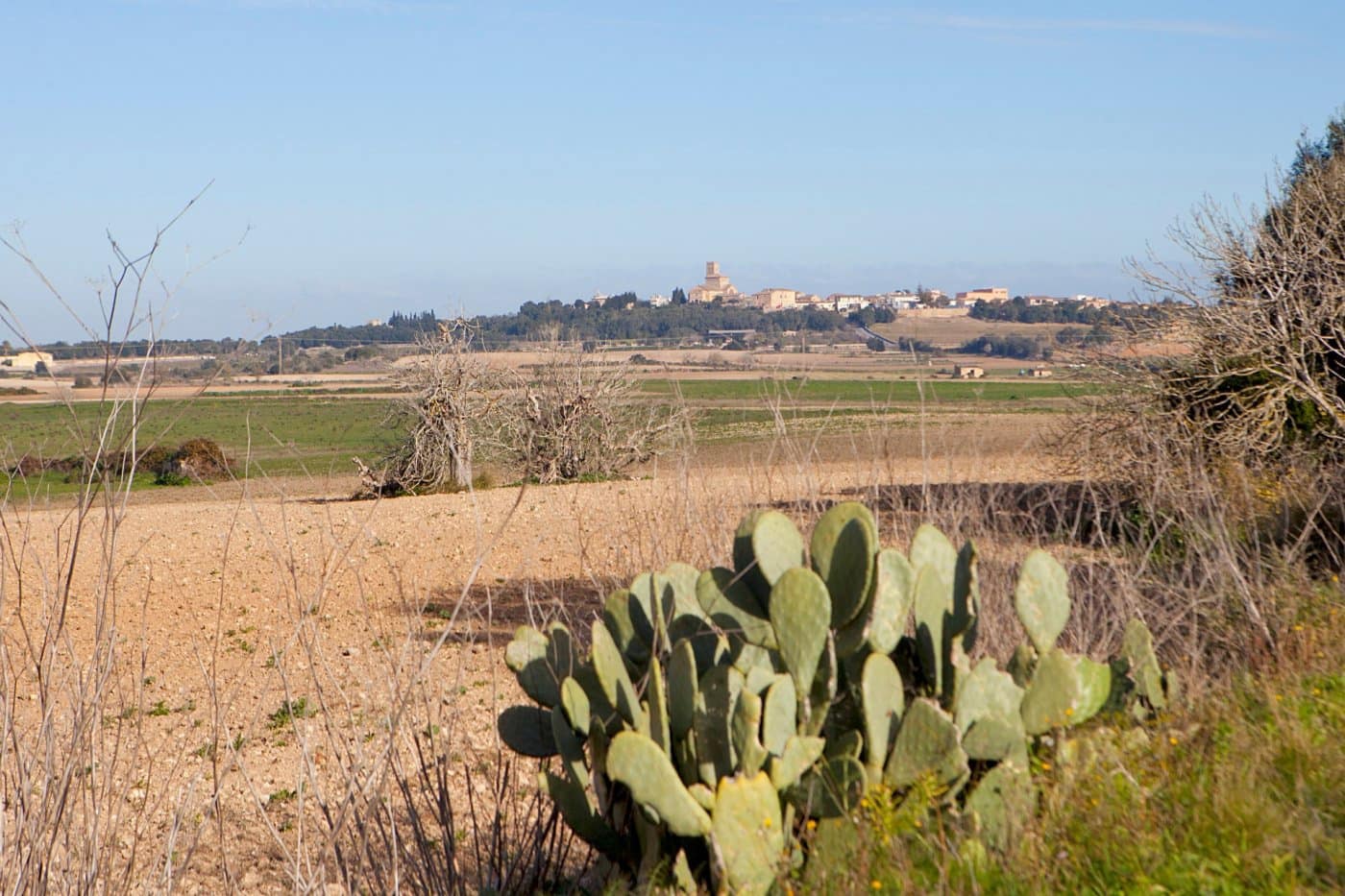 4 soverom Finca/Herregård til salgs i Ariany med svømmebasseng garasje - € 1 900 000 (Ref: 7638067)