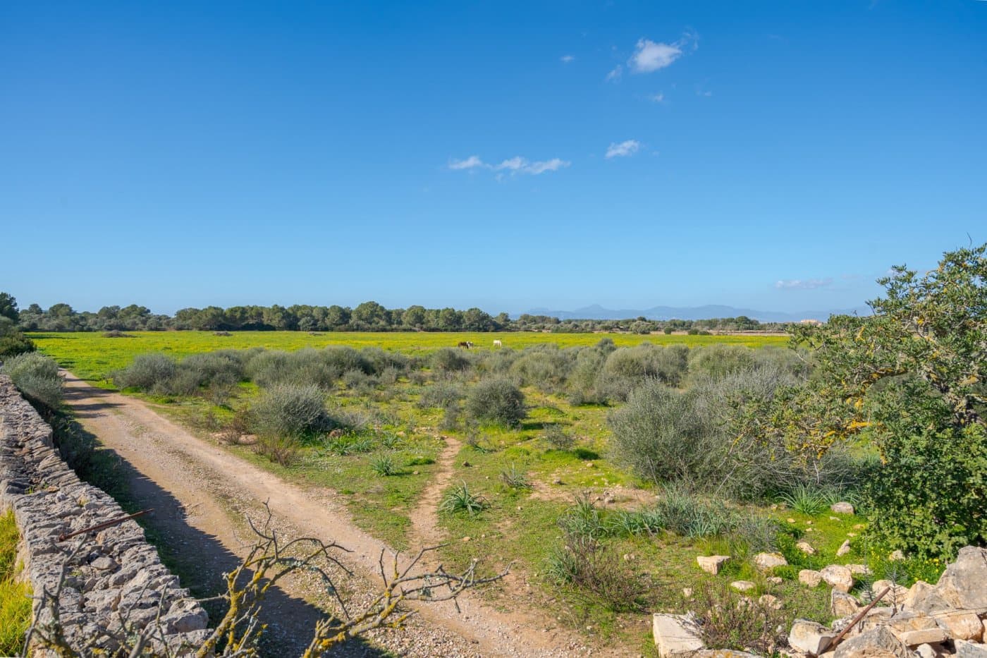 5 soveværelse Finca/Landehus til salg i Puig de Ros med garage - € 8.000.000 (Ref: 7638076)