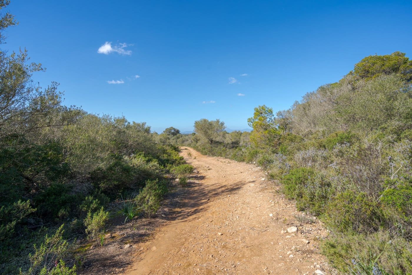 5 soveværelse Finca/Landehus til salg i Puig de Ros med garage - € 8.000.000 (Ref: 7638076)