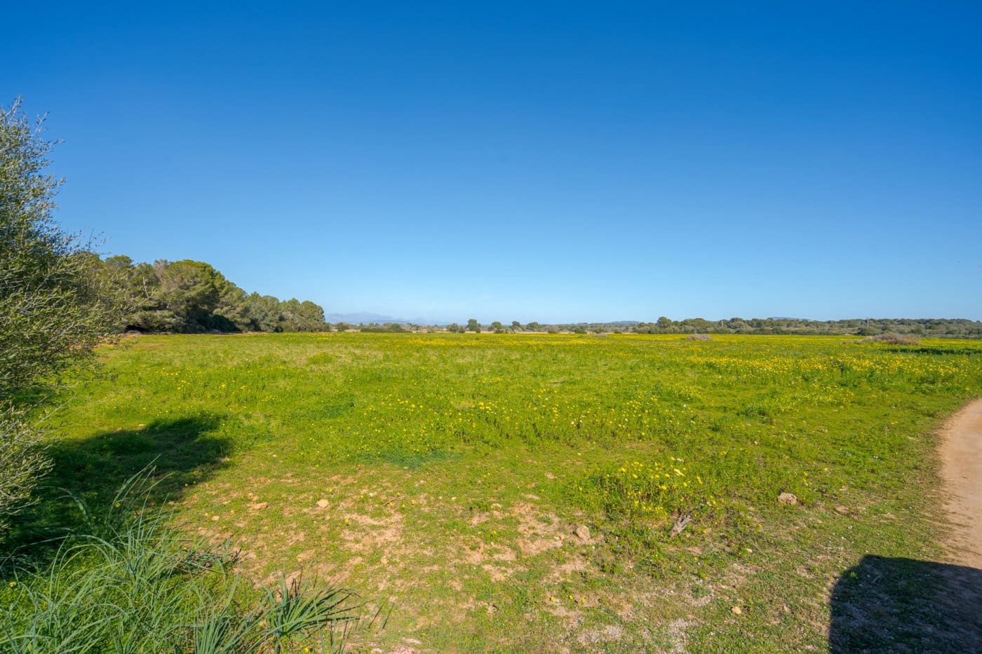 5 soveværelse Finca/Landehus til salg i Puig de Ros med garage - € 8.000.000 (Ref: 7638076)