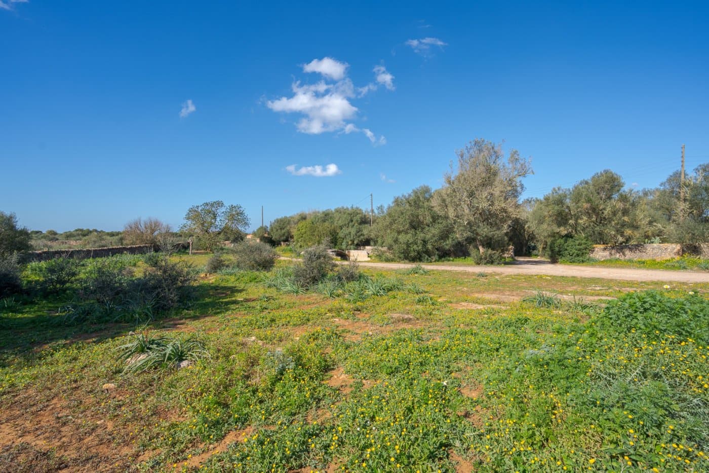 5 soveværelse Finca/Landehus til salg i Puig de Ros med garage - € 8.000.000 (Ref: 7638076)