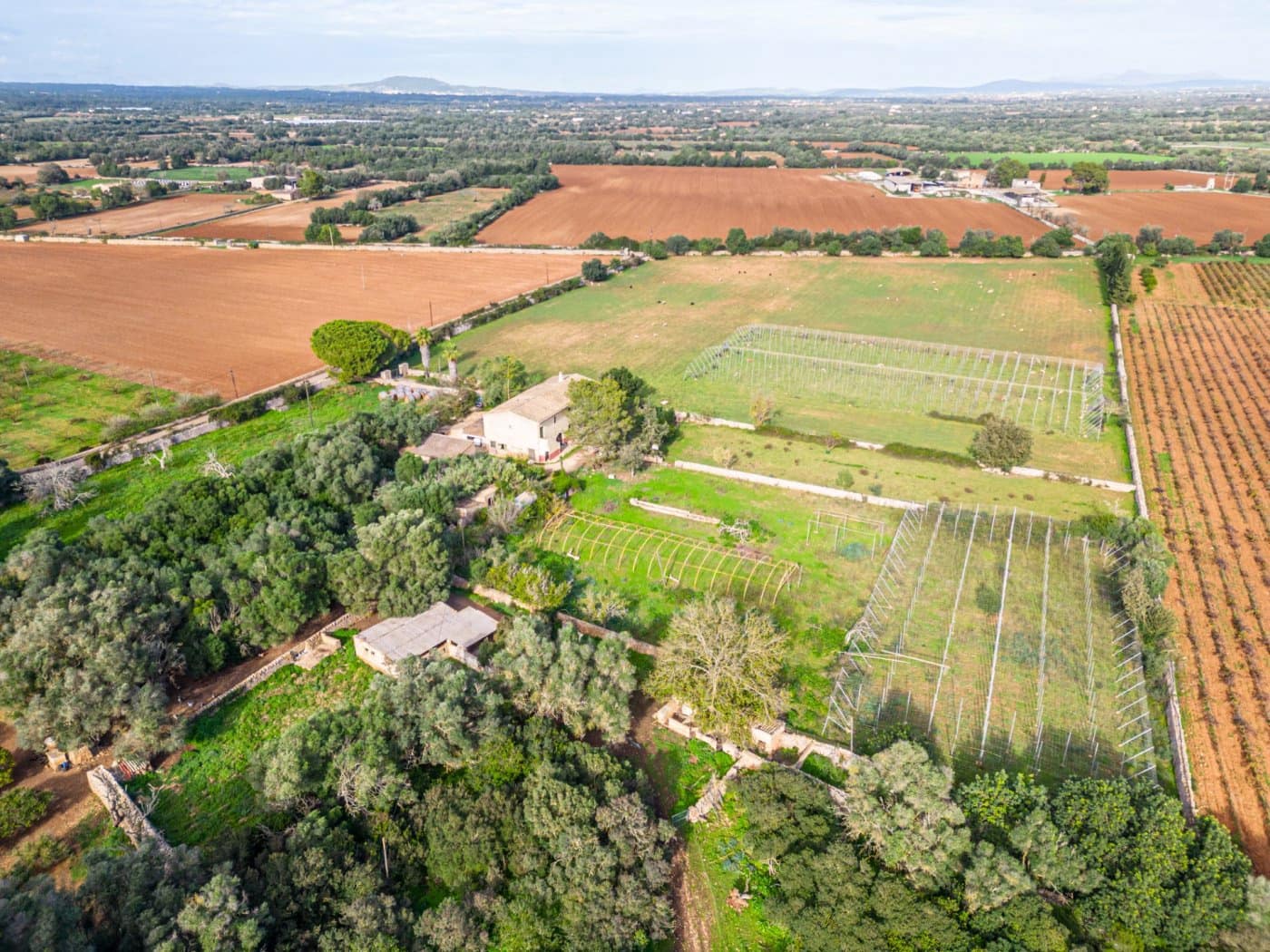 5 chambre Finca/Maison de Campagne à vendre à Felanitx avec garage - 1 650 000 € (Ref: 7638109)