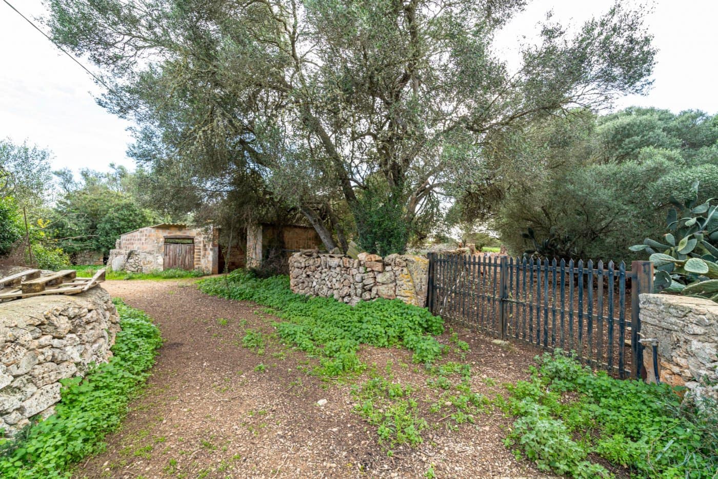 5 chambre Finca/Maison de Campagne à vendre à Felanitx avec garage - 1 650 000 € (Ref: 7638109)