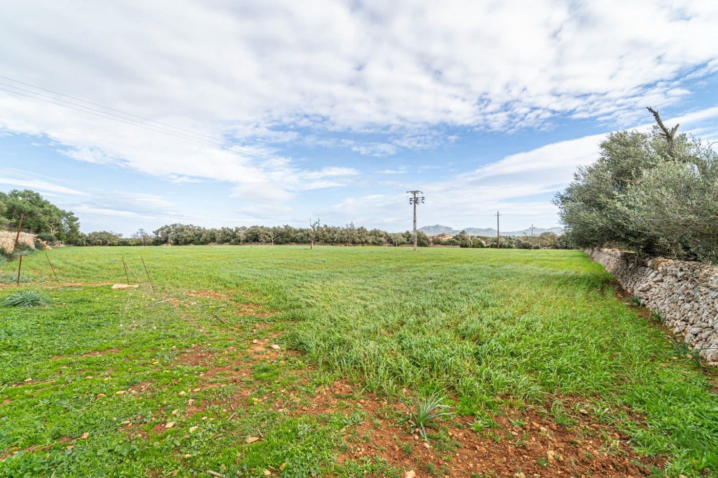 5 chambre Finca/Maison de Campagne à vendre à Felanitx avec garage - 1 650 000 € (Ref: 7638109)