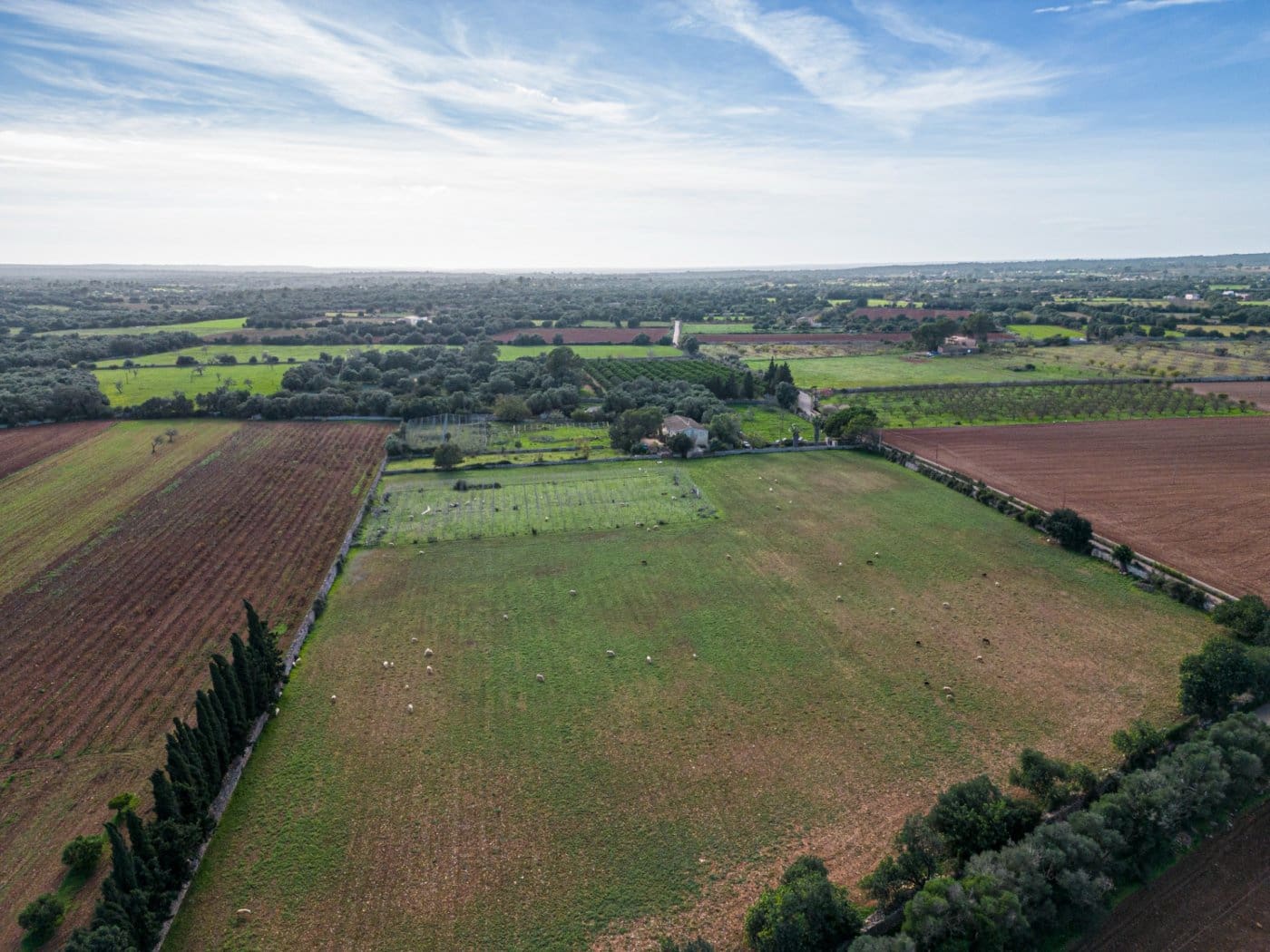 5 chambre Finca/Maison de Campagne à vendre à Felanitx avec garage - 1 650 000 € (Ref: 7638109)