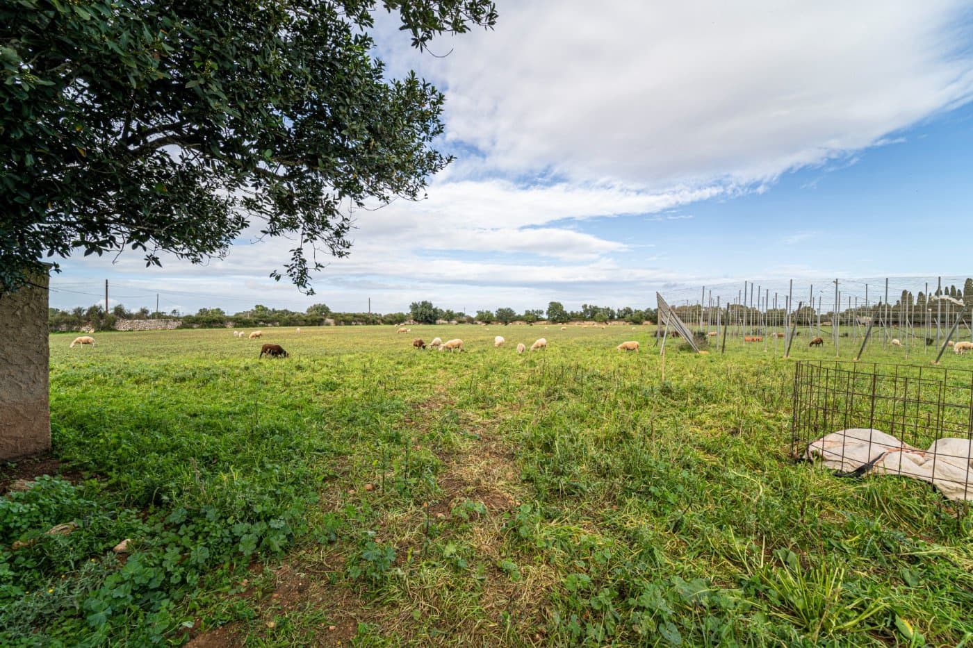 5 chambre Finca/Maison de Campagne à vendre à Felanitx avec garage - 1 650 000 € (Ref: 7638109)