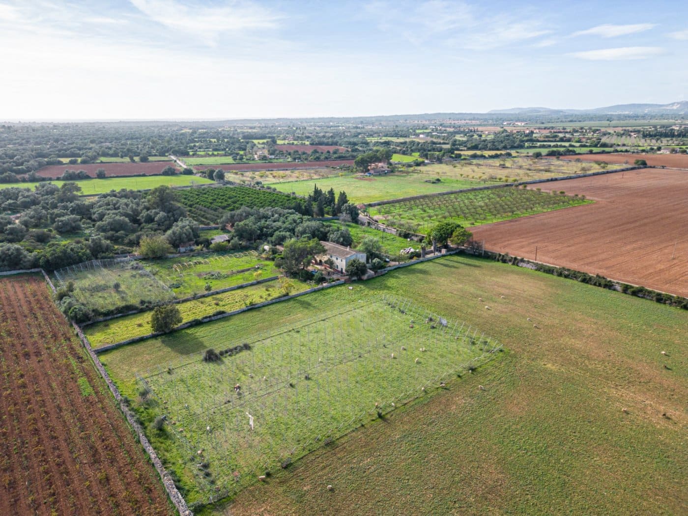 5 chambre Finca/Maison de Campagne à vendre à Felanitx avec garage - 1 650 000 € (Ref: 7638109)