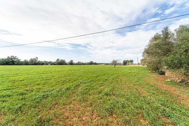 5 chambre Finca/Maison de Campagne à vendre à Felanitx avec garage - 1 650 000 € (Ref: 7638109)