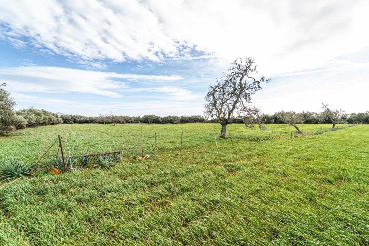 5 chambre Finca/Maison de Campagne à vendre à Felanitx avec garage - 1 650 000 € (Ref: 7638109)