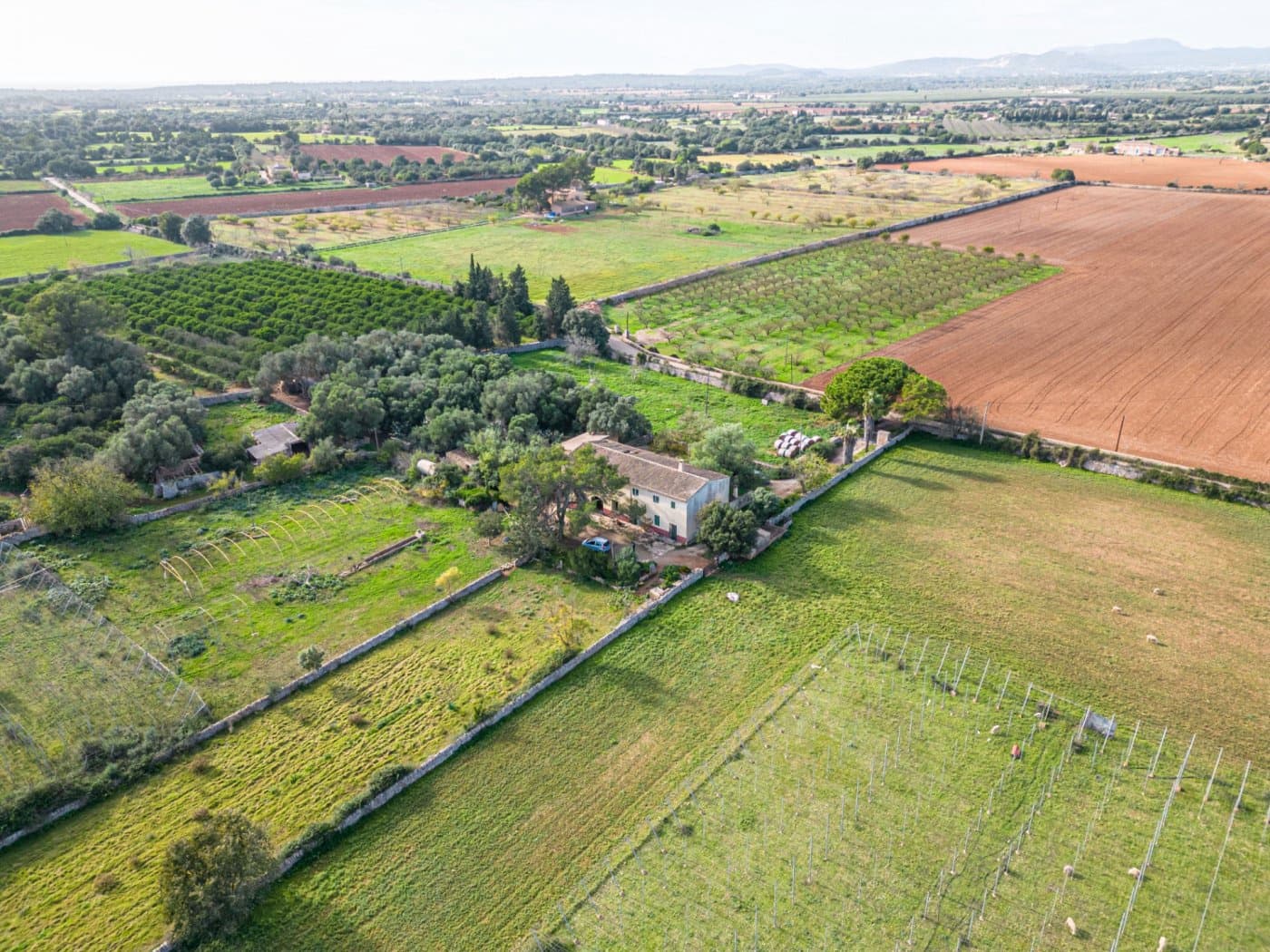 5 chambre Finca/Maison de Campagne à vendre à Felanitx avec garage - 1 650 000 € (Ref: 7638109)