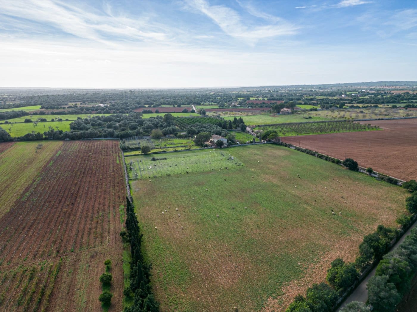 5 chambre Finca/Maison de Campagne à vendre à Felanitx avec garage - 1 650 000 € (Ref: 7638109)
