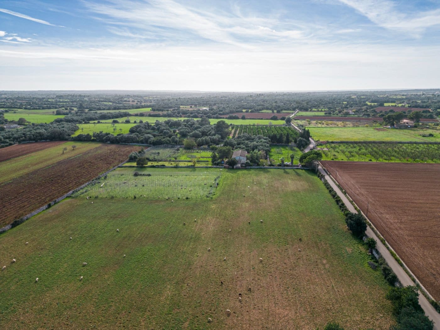 5 chambre Finca/Maison de Campagne à vendre à Felanitx avec garage - 1 650 000 € (Ref: 7638109)