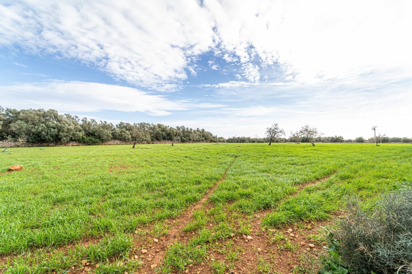 5 chambre Finca/Maison de Campagne à vendre à Felanitx avec garage - 1 650 000 € (Ref: 7638109)