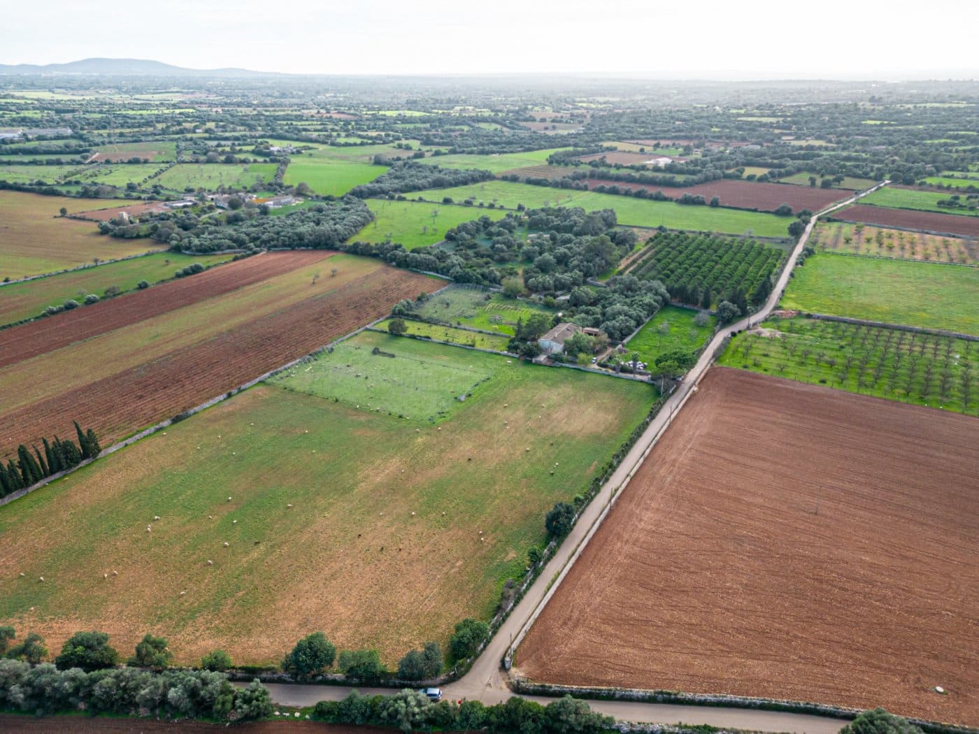 5 chambre Finca/Maison de Campagne à vendre à Felanitx avec garage - 1 650 000 € (Ref: 7638109)