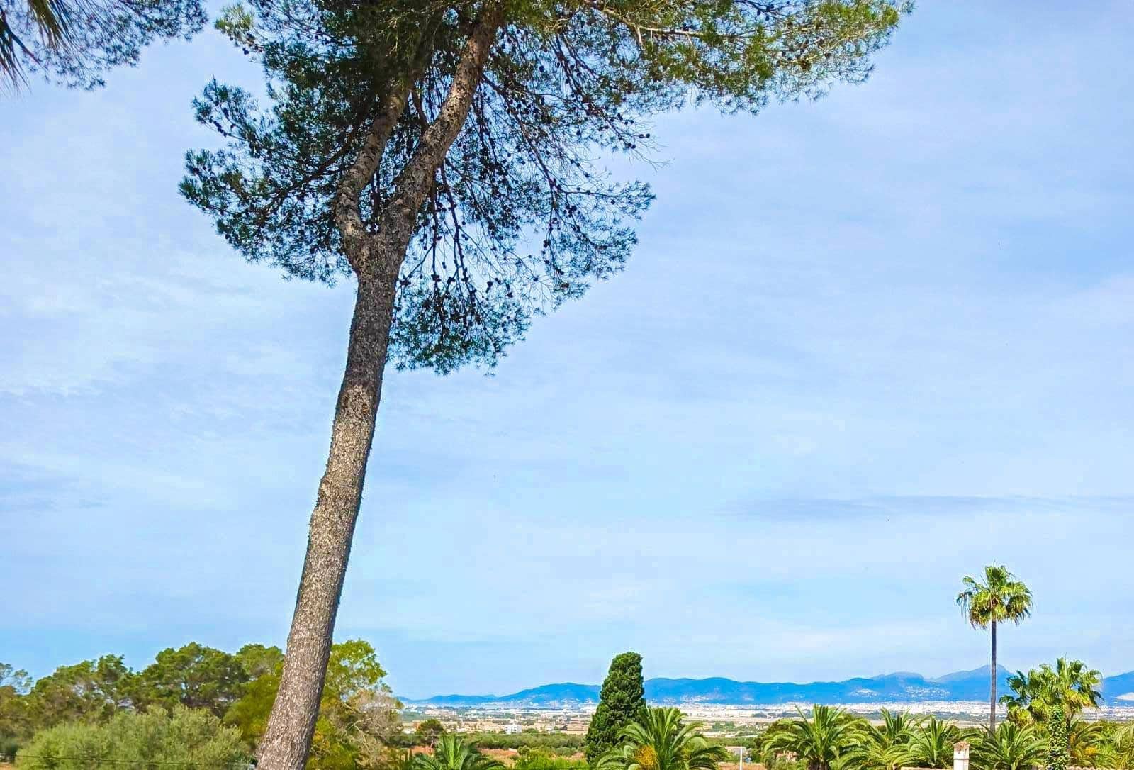 Byggegrund til salg i L'Aranjassa / S'Aranjassa - € 475.000 (Ref: 7638217)