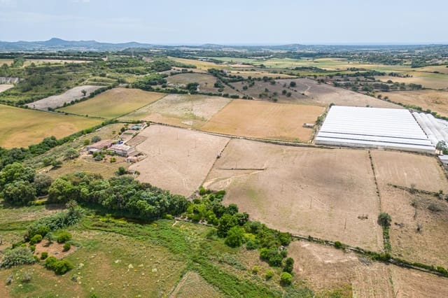 4 soverom Finca/Herregård til salgs i Manacor - € 1 200 000 (Ref: 7638252)