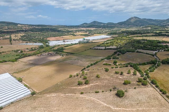 Building Plot for sale in Manacor - € 400,000 (Ref: 7638253)